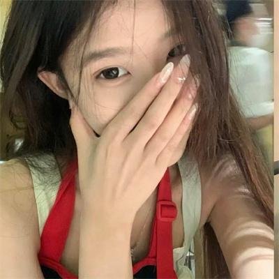 刺猬与城市
